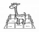 Animal Coloring Pages Cage Giraffe Printable sketch template