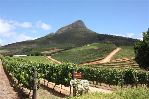 cape winelands  lonely planets top  travel destinations