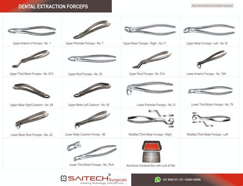 ss dental extraction forceps  clinical rs  piece saitech