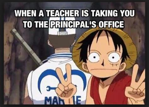 20 One Piece Memes You Need To Share Now Sayingimages