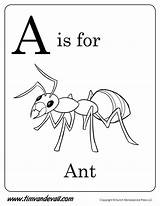 Ant Ants Timvandevall Tim sketch template
