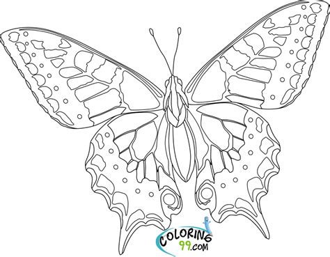 butterfly coloring pages team colors