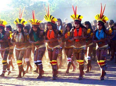 sem efeitos colaterais indios brasileiros   defesa da cultura