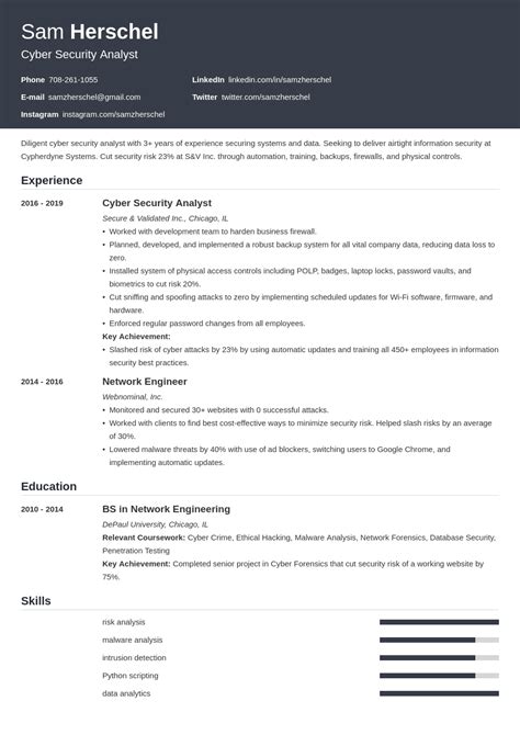 cyber security resume examples   entry level