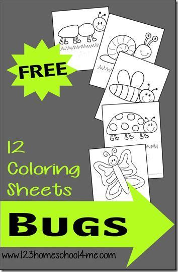bug coloring sheets bug coloring pages preschool insect crafts
