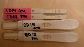 baby diary ovulation kit