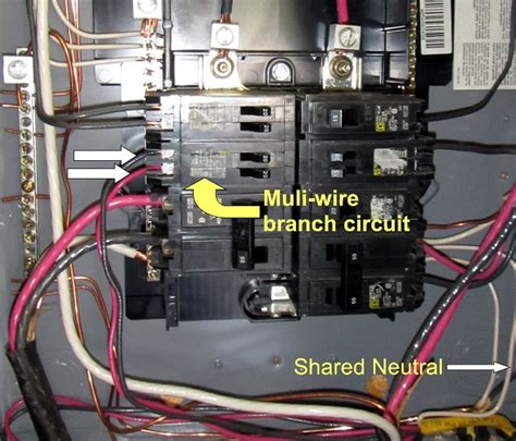 multiwire branch circuit nec
