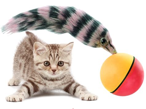 zabawka biegajaca fretka weazel ball dla kota psa  allegropl