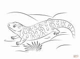 Gila Monster Coloring Pages Cute Printable Lizard Monsters Kids Color Template Print Three Supercoloring Designlooter Drawings Templates Choose Board Adults sketch template