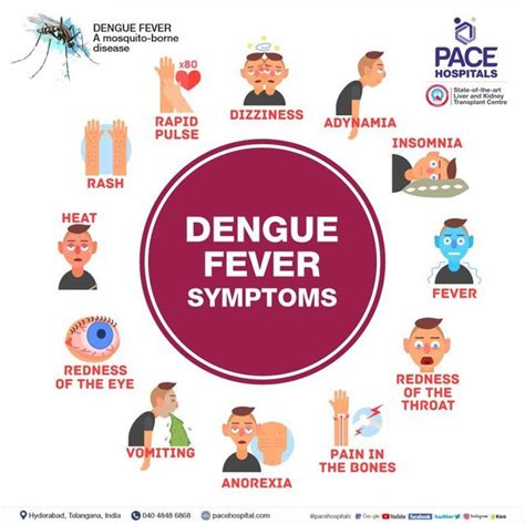 dengue patient