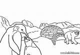 Coloring Pages Arctic Tundra Landscape Animals Popular Banquise Coloriage Choose Board Template Hellokids sketch template