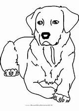 Ausmalbilder Hunde Hund Retriever Beagle Zeichnen Malen Mascotas Perros Zeichnung Ausmalen Ausdrucken Hundekunst Waldtiere Tiermotive Eule Geburtstag sketch template