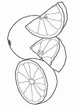Grapefruit Coloring Pages Fruits Print Recommended sketch template