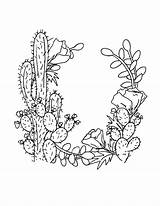 Saguaro Cactus Coloring Blossom Getdrawings sketch template