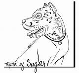 Skull Coloring Sugar Pages Pitbull Dog Tattoo Sketchite sketch template