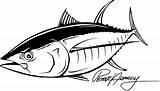 Tuna Yellowfin Stencil Atun Pesca Peces sketch template