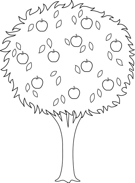 apple tree coloring page printable