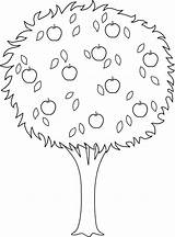 Tree Apple Outline Coloring Clipart Trees Line Clip Drawing Pages Colorable Printable Nature Cliparts Mars Library Drawings Kb sketch template