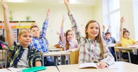 dutch school types primary  secondary education