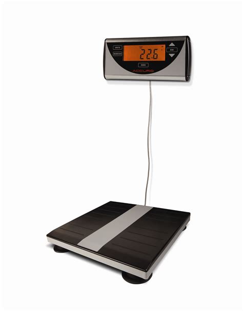 brandt industries digital medical scales  scales digital scale  remote wall mounted