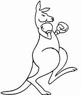 Kangaroo Drawing Boxing Easy Cartoon Logo Pages Flag Clipart Tattoo Gloves Simple Draw Coloring Colouring Kangaroos Illustration Color Outline Search sketch template