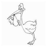 Storks Coloring Pages Print Color sketch template