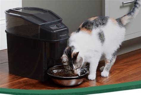 cat mate  automatic feeder review upcatfeeders