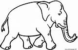 Coloring Wild Elephant Animal Printable Pages sketch template