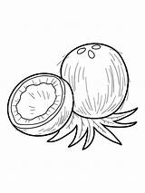 Coconut Coloring Pages Fruit Printable Color Clipart Fruits Print Recommended Kids Getcolorings Getdrawings Library Template sketch template