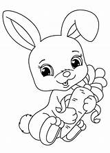 Colorare Conigli Coniglio Disegno Pianetabambini Versione Una sketch template