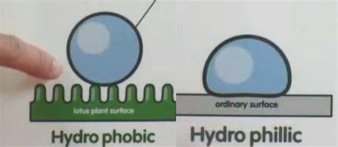hydrophobichydrophilic properties mrsec education group uwmadison