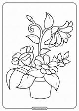 Coloring Flowers Pages Printable Pdf sketch template