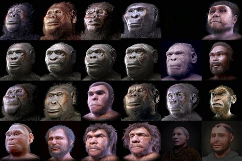 human ancestor nesher ramla homo tracktraining