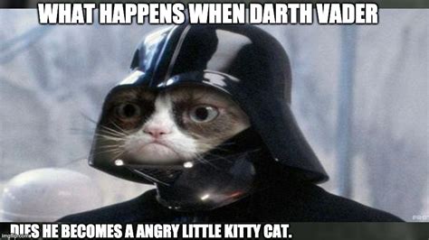 Grumpy Space Cat Star Wars Imgflip