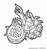 Fruit Dragon Coloring Game Book Illustration Stock sketch template