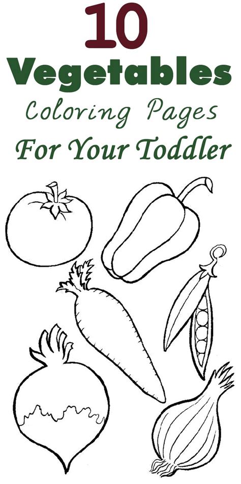 kindergarten vegetable coloring pages ideas bafsvzv