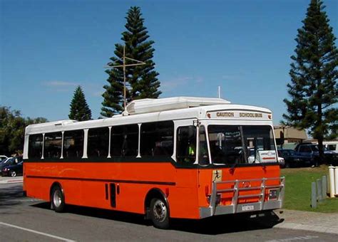 loves coaches bus service australiashowbuscom bus image gallery