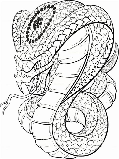 cobra coloring pages  printable cobra coloring pages  snake