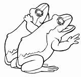 Frogs Two Drawing Frog Coloring Color Library Clipart sketch template