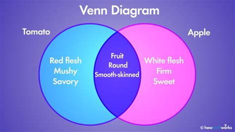 venn diagram  overlapping figures  illustrate relationships