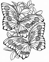 Coloring Pages Large Print Printable Color Kids Adult Adults Sheets Flowers Butterfly Books Colouring Getcolorings Animal Butterflies Thousands Two Getdrawings sketch template