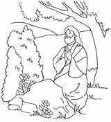 Jesus Praying Coloring Pages Miracles Colorig Color Because Garden Printable Colorluna Christ Getcolorings Sunday School Luna Lds Getdrawings sketch template