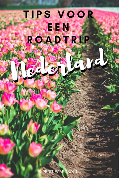 korte roadtrip nederland toeren met een oldtimer door noord holland roadtrips nederland uitjes