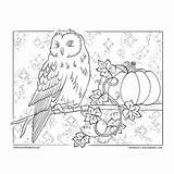 Coloring Owl Halloween Want sketch template