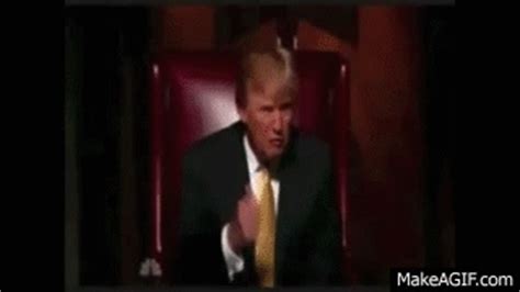 donald trump youre fired    gif    gif
