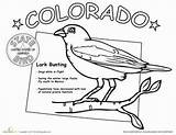 Colorado Coloring Pages Bunting State Bird Silhouette Rockies Drawing Activities Mountain Lark Printable Thick Friendly Kid Worksheets Getcolorings 2nd Grade sketch template