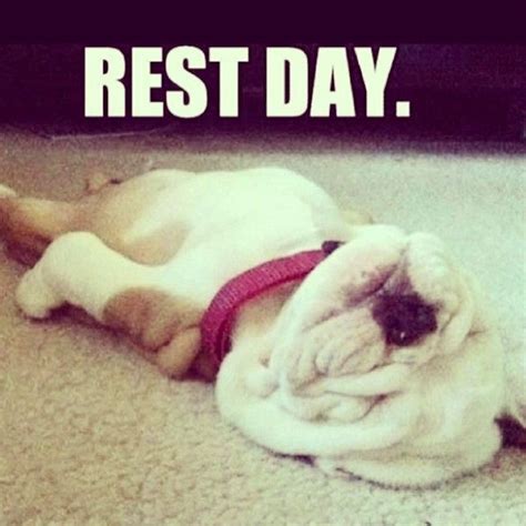 rest day pictures   images  facebook tumblr pinterest  twitter