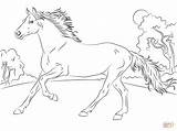 Horse Coloring Pages Games Getcolorings Colouring Horses sketch template