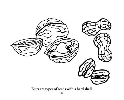 ideas  coloring seed coloring pictures