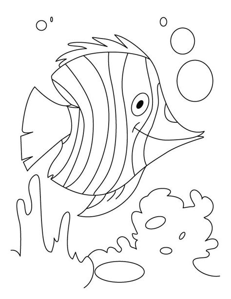 kids coloring pages water coloring book  coloring pages